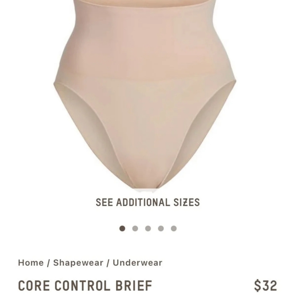 ⭐SOLD⭐  SKIMS core control brief L/XL (Mica)